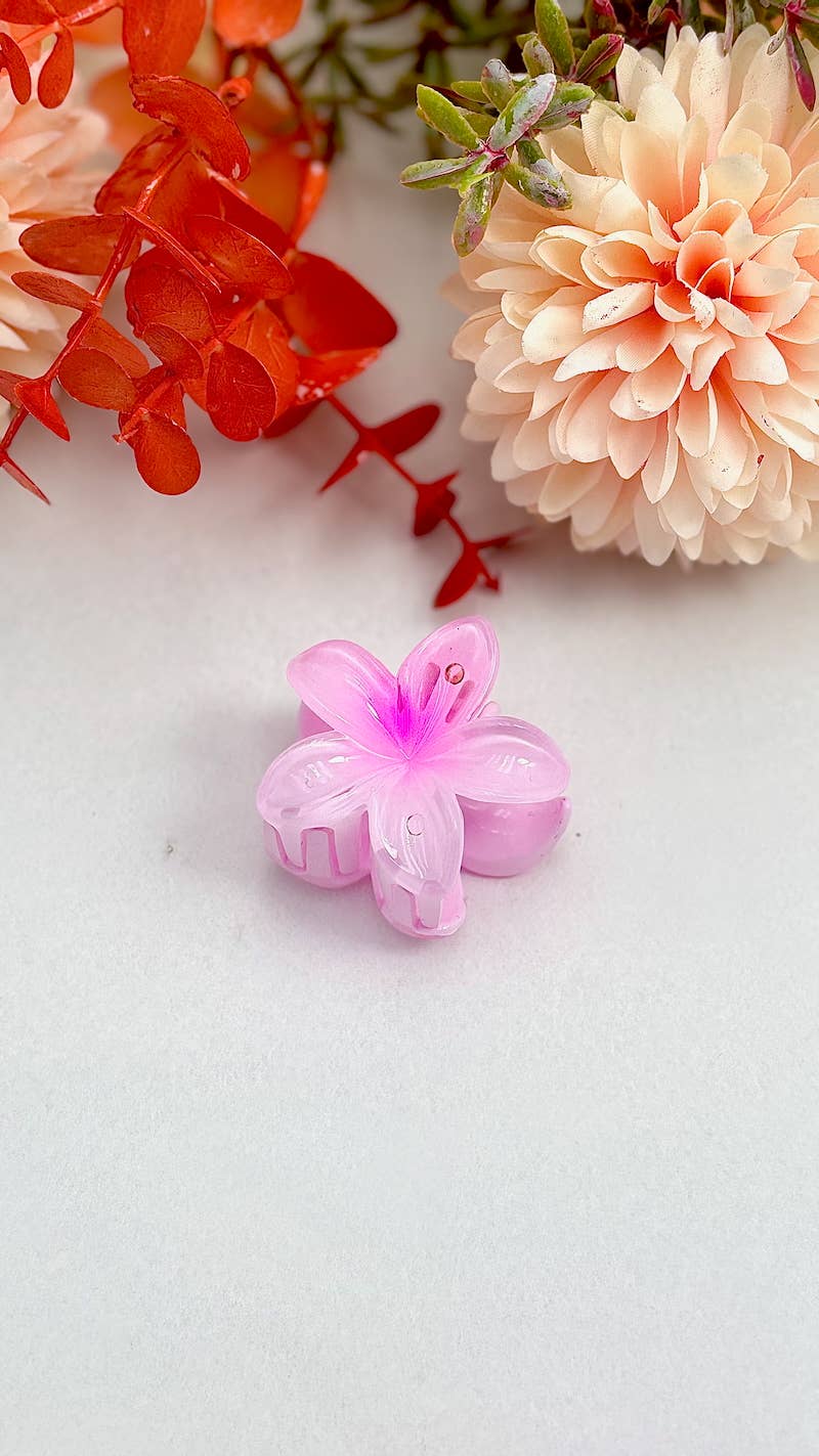 Mini ziedu sprādzītes