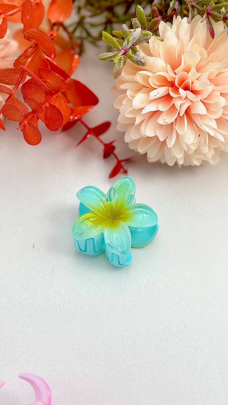Mini ziedu sprādzītes