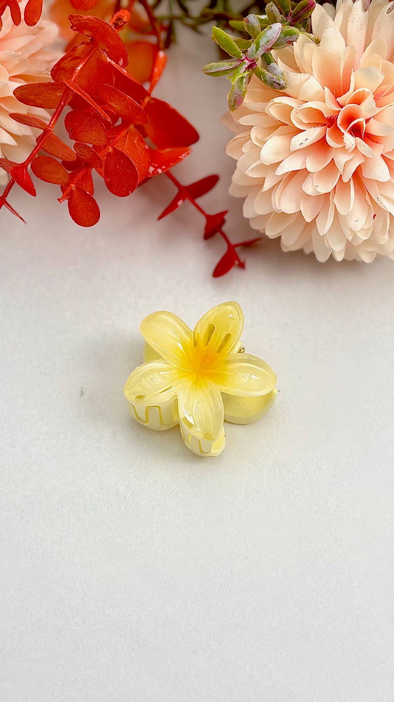 Mini ziedu sprādzītes
