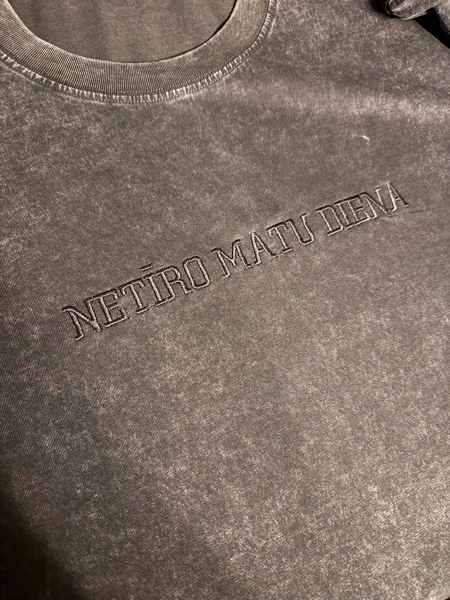 DIRTY HAIR DAY T-shirt