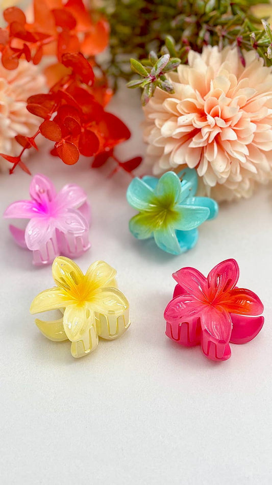 Mini ziedu sprādzītes